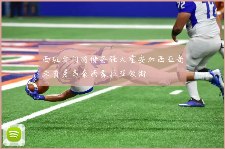 西班牙门将储备强大霍安加西亚尚未首秀乌奈西蒙拉亚领衔