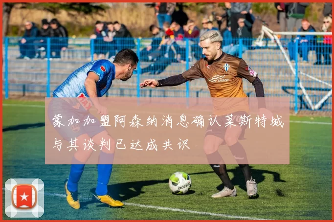 蒙加加盟阿森纳消息确认莱斯特城与其谈判已达成共识